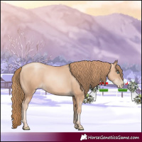 Horse Color:Gold Champagne Pearl Rabicano  and Gold Champagne Pearl Rabicano 