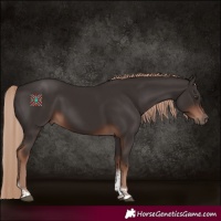 Horse Color:Liver Chestnut Tobiano 