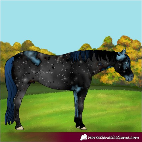 Horse Color:ERROR: UNKNOWN ANOMALY