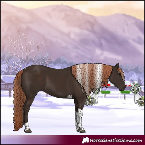 Horse Color:Liver Chestnut Tobiano 