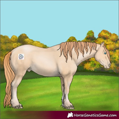 Horse Color:Buckskin Pearl 