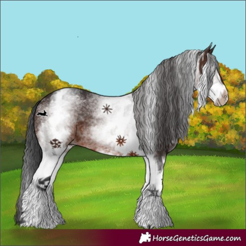 Horse Color:White Spotted Brown