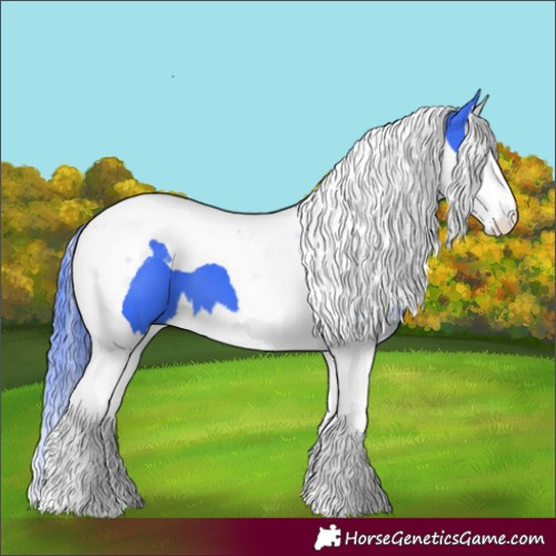 Horse Color:Watercolor Smoky Black Splash Tobiano 