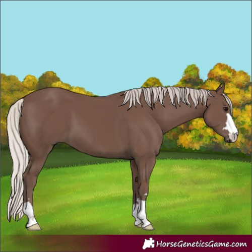 Horse Color:Silver Black