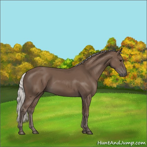 Horse Color:Silver Black 