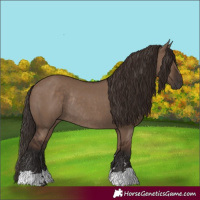 Horse Color:Liver Red Dun Rabicano 
