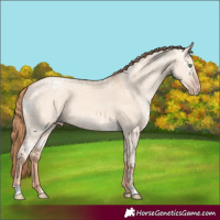 Horse Color:Gold Champagne Ice Dun 