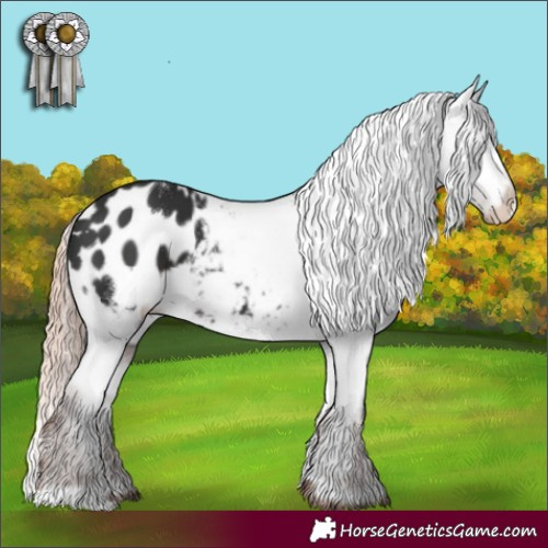 Horse Color:White Spotted Liver Chestnut Appaloosa 