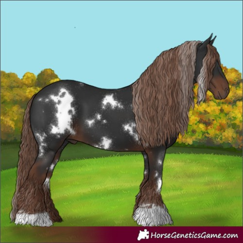 Horse Color:White Spotted Liver Chestnut 