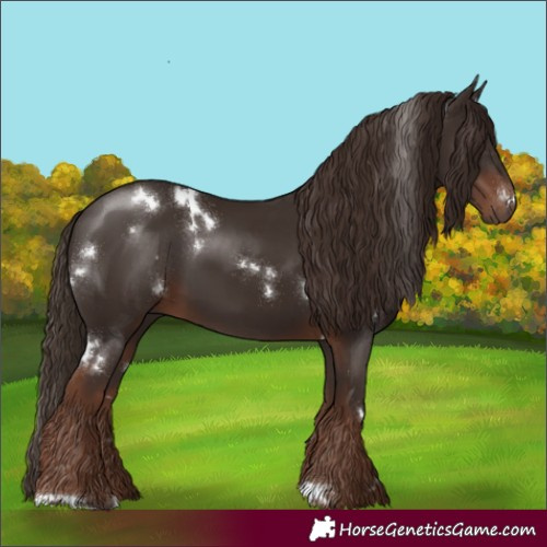 Horse Color:White Spotted Liver Chestnut