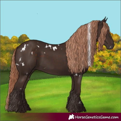 Horse Color:White Spotted Liver Chestnut 