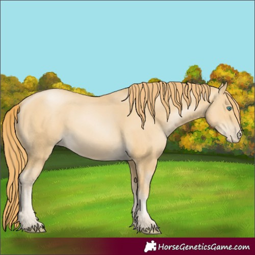 Horse Color:Smoky Black Pearl