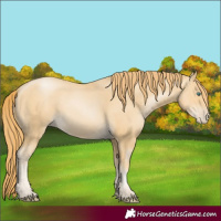 Horse Color:Smoky Black Pearl