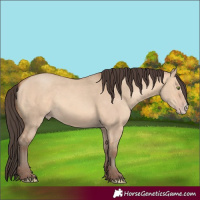 Horse Color:Amber Champagne Dun Frame 