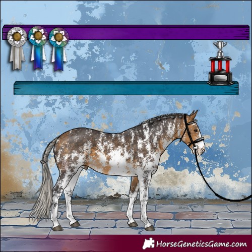 Horse Color:Silver Buckskin Sabino 
