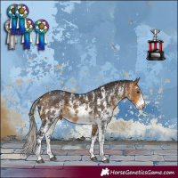 Horse Color:Silver Buckskin Sabino 