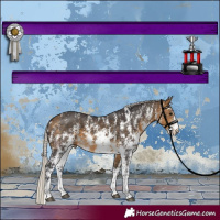 Horse Color:Silver Buckskin Sabino 
