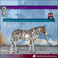 Horse Color:Silver Buckskin Sabino 