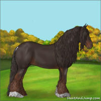 Horse Color:Liver Chestnut Tobiano 