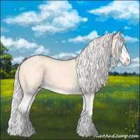 Horse Color:Cremello Splash  and Cremello Splash 