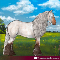 Horse Color:White Spotted Silver Brown Roan Dun 
