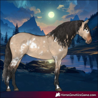 Horse Color:White Spotted Brown Dun 