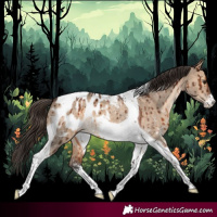 Horse Color:Brown Dun Sabino Tobiano Appaloosa Brindle