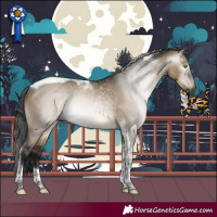 Horse Color:Gray Brown Dun Tobiano Rabicano 