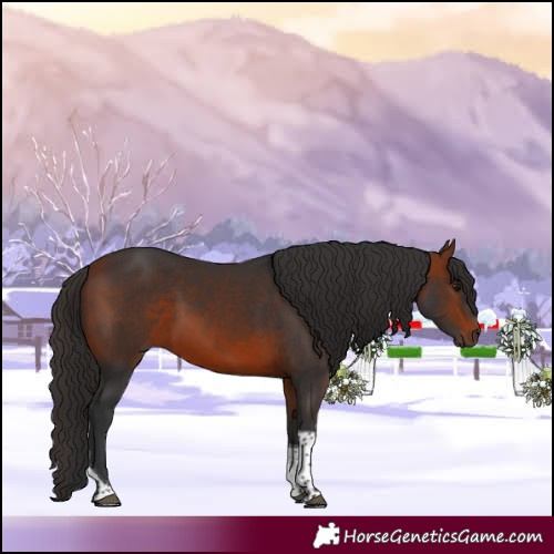 Horse Color:Bay Tobiano 