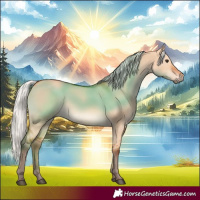 Horse Color:Silver Bay Dun 