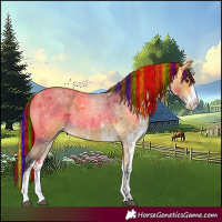 Horse Color:Painted White Spotted Buckskin Roan 