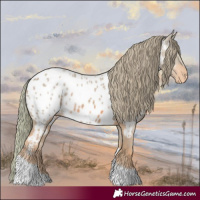 Horse Color:Watercolor Chestnut Tobiano Appaloosa 