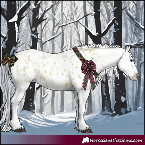 Horse Color:Watercolor Bay Dun Appaloosa 