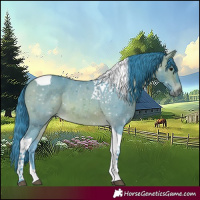 Horse Color:Watercolor Bay Tobiano 