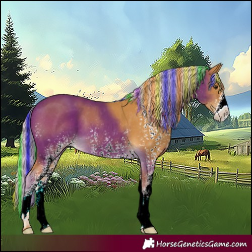 Horse Color:Painted White Spotted Palomino