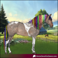 Horse Color:Painted Brown Dun Tobiano 