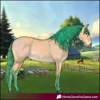 Horse Color:Watercolor Bay Dun 