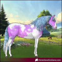 Horse Color:Watercolor Bay Splash Tobiano Frame 