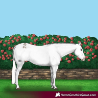 Horse Color:Silver Grullo Snowflake Varnish 
