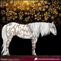 Horse Color:Silver Grullo Appaloosa 