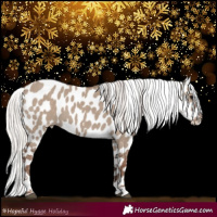 Horse Color:Silver Grullo Appaloosa 