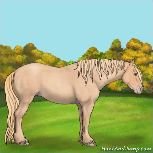 Horse Color:Gold Champagne Roan 