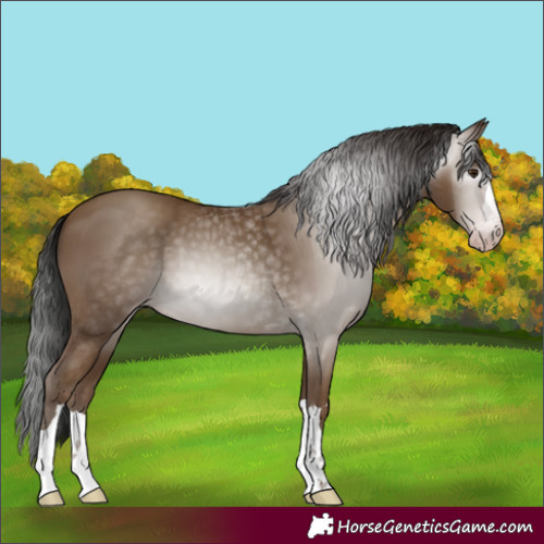 Horse Color:Gray Classic Champagne 