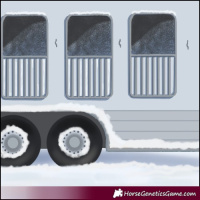 Horse Color:Silver Grullo Appaloosa 