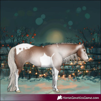 Horse Color:Gray Silver Black Pearl Tobiano 