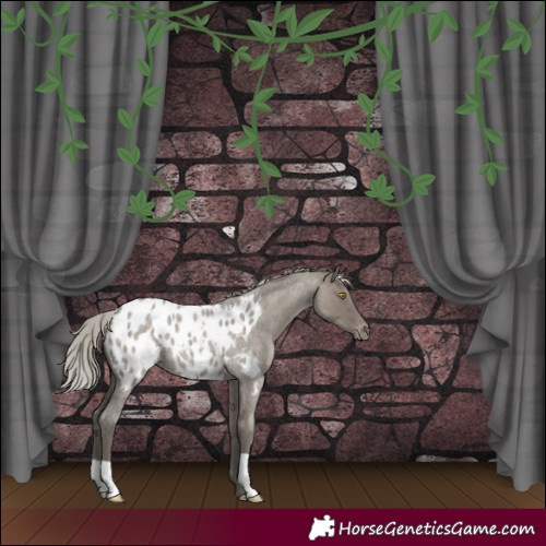 Horse Color:Silver Grullo Roan Near Leopard 
