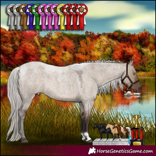 Horse Color:Silver Grullo Roan 