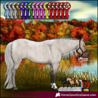 Horse Color:Silver Grullo Roan 