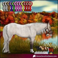 Horse Color:Silver Grullo Roan 