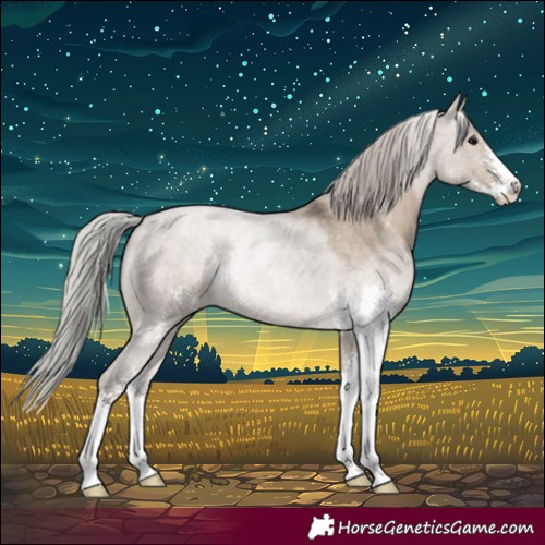 Horse Color:Silver Grullo Roan Sabino 